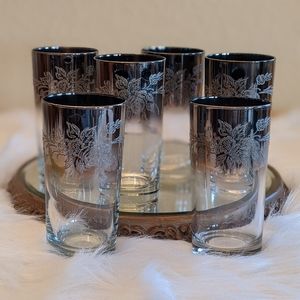 Vtg Silver Fade Vitreon Queens Luster Tumblers 6